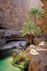 Märchenhafter Oman