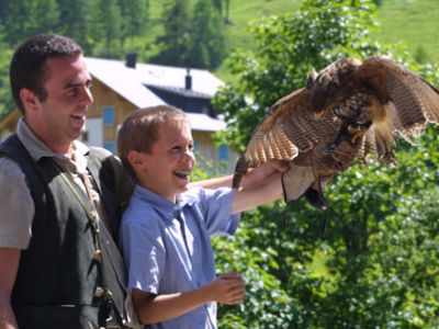 Auge in Auge mit dem Adler