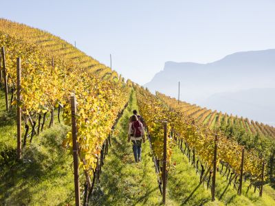 © „Roter Hahn“/Frieder Blickle Wege zum Wein: