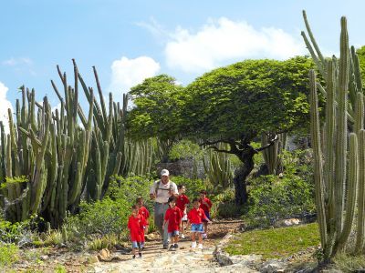 Aruba: