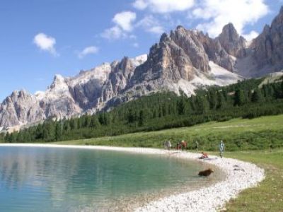 Cortina: