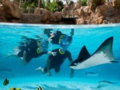 Discovery Cove, Orlando (Florida)