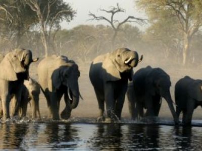 Unterwegs im südlichen Afrika