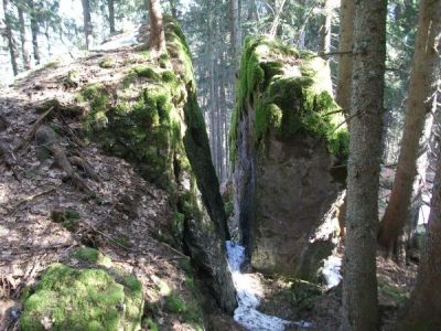 Österreich / Tannheimer Tal