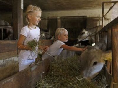 Zwischen Spielzimmer und Streichelzoo