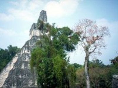 Auf den Spuren der Mayas Guatemala entdecken