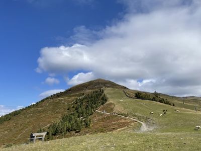 Tiroler Almgeflüster