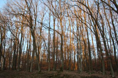 HerbstZeit in Bad Blumau