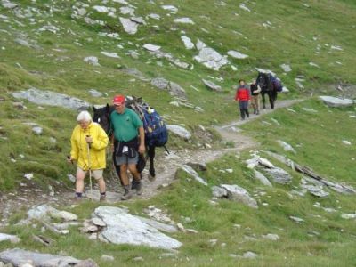 Spurensuche in der wilden Welt der Gipfel: