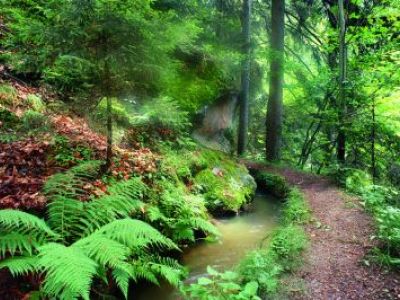 Wanderglück zwischen Weinberg und Hochgebirge