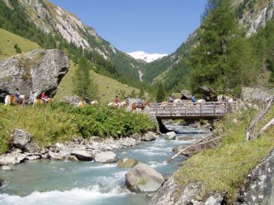 Mit dem Pferd ins Osttiroler Outback