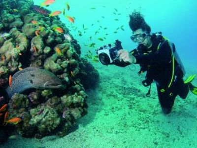 Unterwasser-Entdeckungen in den Tauchdestinationen der Mövenpick Hotels & Resorts