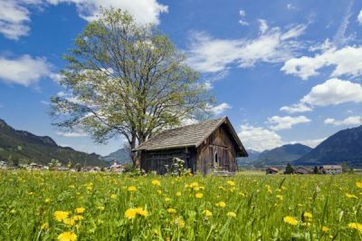 Naturschönheiten in Tirol