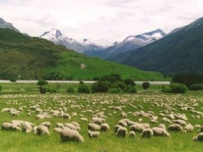 Linksverkehr im Paradies