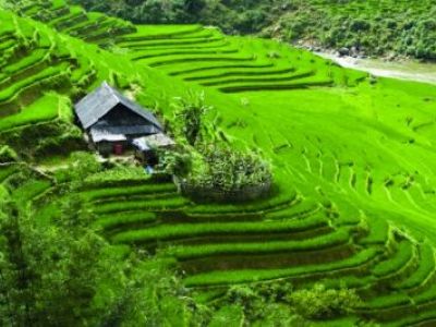 Zwischen Halong, Hanoi und Sapa -