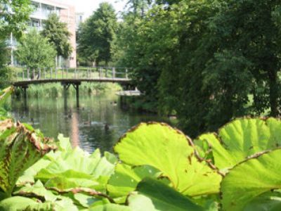 TOP-NORD: ADVENTSZEIT IN ODENSE