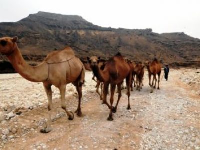 Oman Reise für Kurzentschlossene: