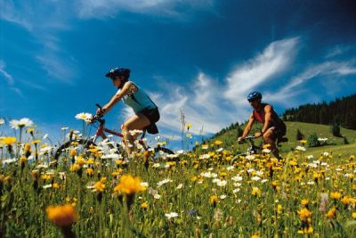 Radlerglück für jeden Geschmack