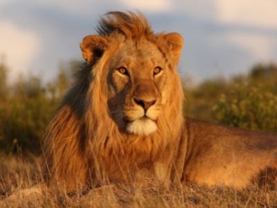 Naturwunder im Herzen Afrikas hautnah erleben