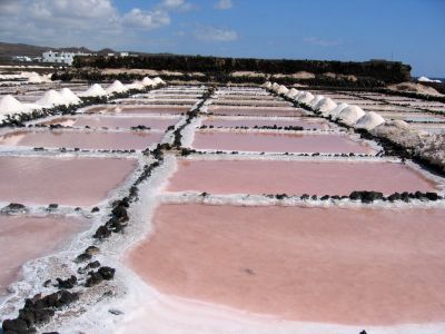 Lanzarote für Feinschmecker und Genießer