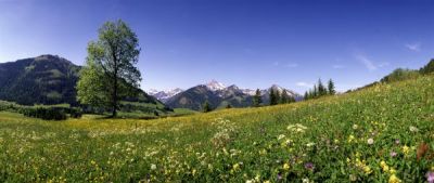 Krimi und Tradition im Tannheimer Tal