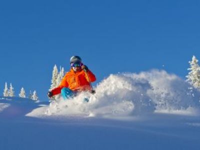 Ostervergnügen für Schneehasen