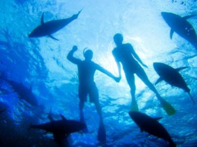 Eintauchen in ein einmaliges Unterwasserabenteuer