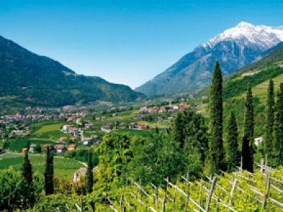 Den Sommer in Südtirol genießen