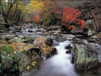 Unberührte Natur in Gangwon-do