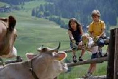 © „Roter Hahn“ Roter Hahn, Südtirol: