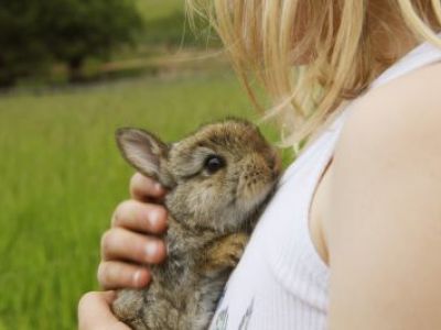 Tierkinder auf Südtirols Bauernhöfen