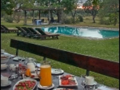 Gourmet Safaris im Osten des Krüger Nationalparks