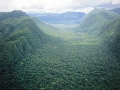 Verlorene Stadt im honduranischen Urwald entdeckt