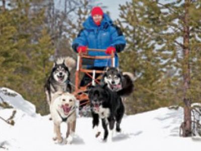 Mit Schlittenhunden einsame Schneelandschaften erkunden