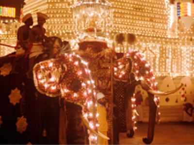 Kandy Perahera in Sri Lanka