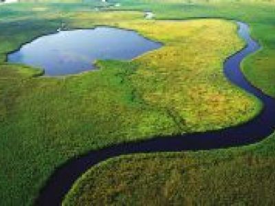 Naturparadies Botswana