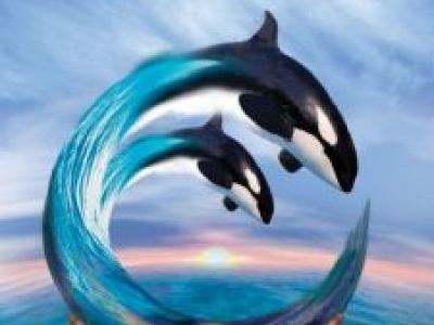 SEAWORLD MIT NEUER KILLERWAL-SHOW: ONE OCEAN