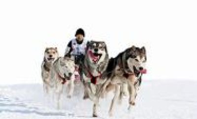 Von wegen Schneckenpost