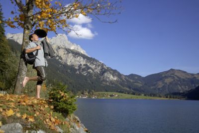 Eintauchen ins Blättermeer
