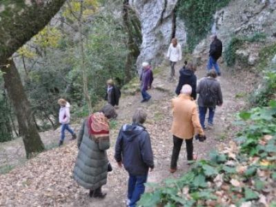 Silvester-Wandern in der Provence